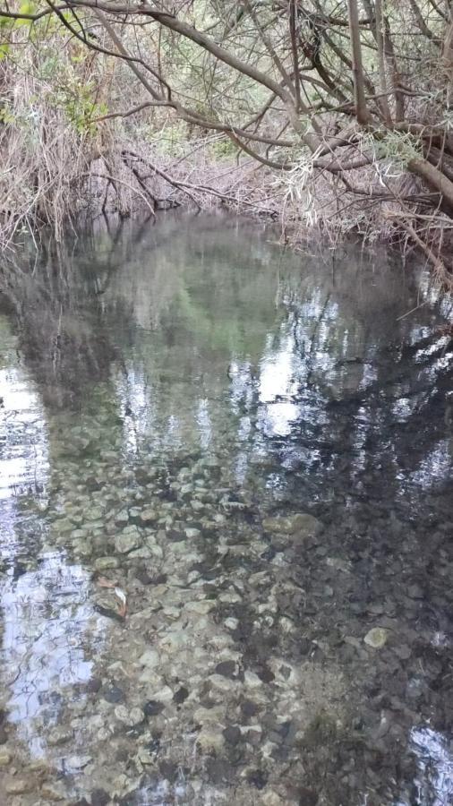 Hostal Restaurante Andra Rio Madera Εξωτερικό φωτογραφία